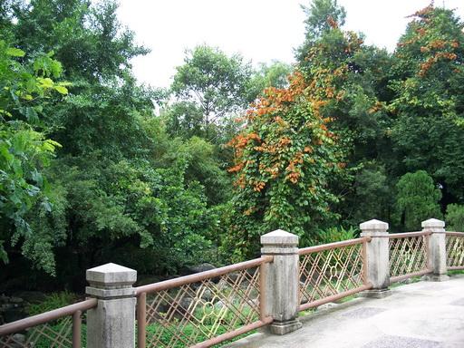 104_7395.jpg